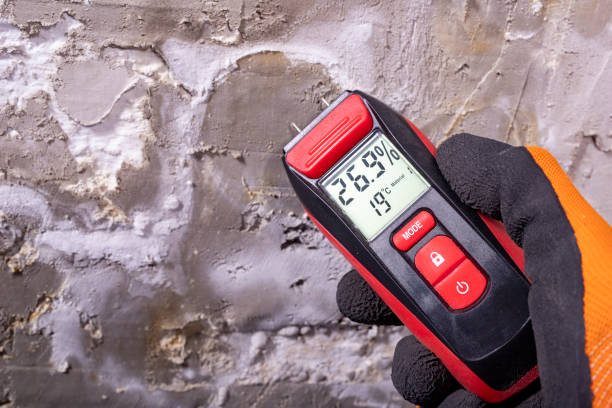 Best Certified Mold Removal  in Oakville, MO
